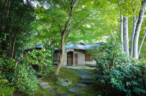 Tea Ceremony in CHARYO, Tea House