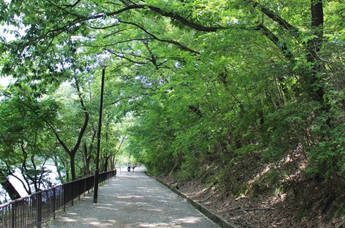 Takaragaike Park