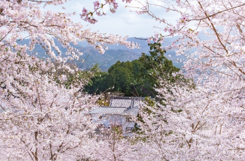 探访一般非公开区域