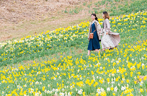 諾倫水上花園