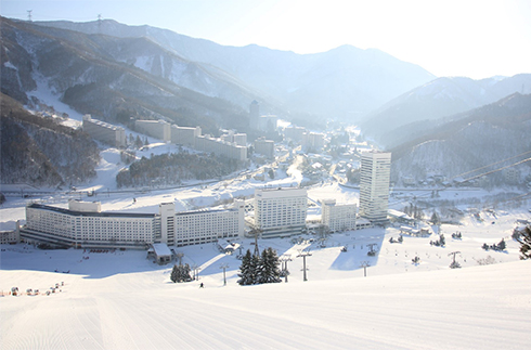 【Website Exclusiv】Prince Hotel Limited Time Sale