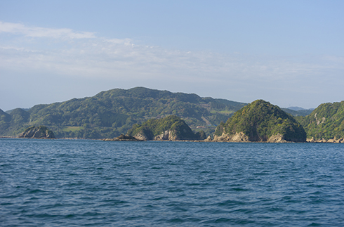 垂釣