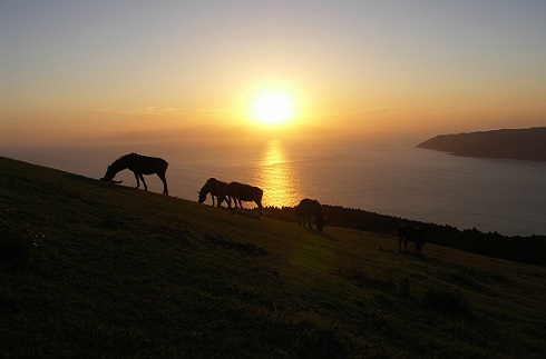 Toi Misaki (Cape Toi)