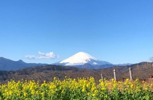 吾妻山公園