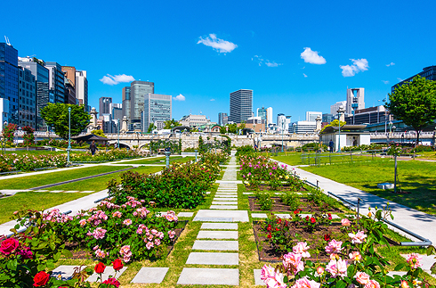 中之島公園