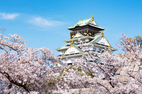 Cherry Blossom Parks