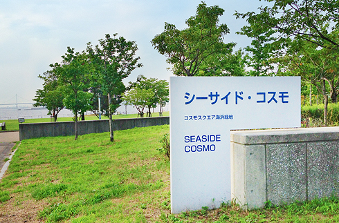 Seaside Cosmo Fishing Open Area