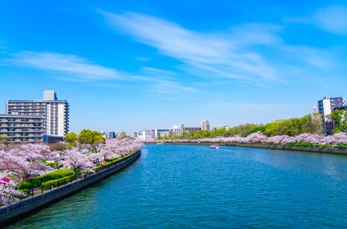 Kema Sakuranomiya Park