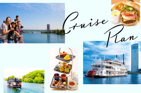 Cruise plan information