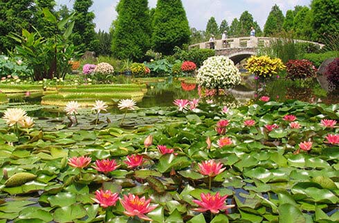 水之森水生植物公園