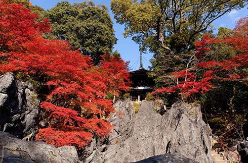 滋賀地區的旅遊信息