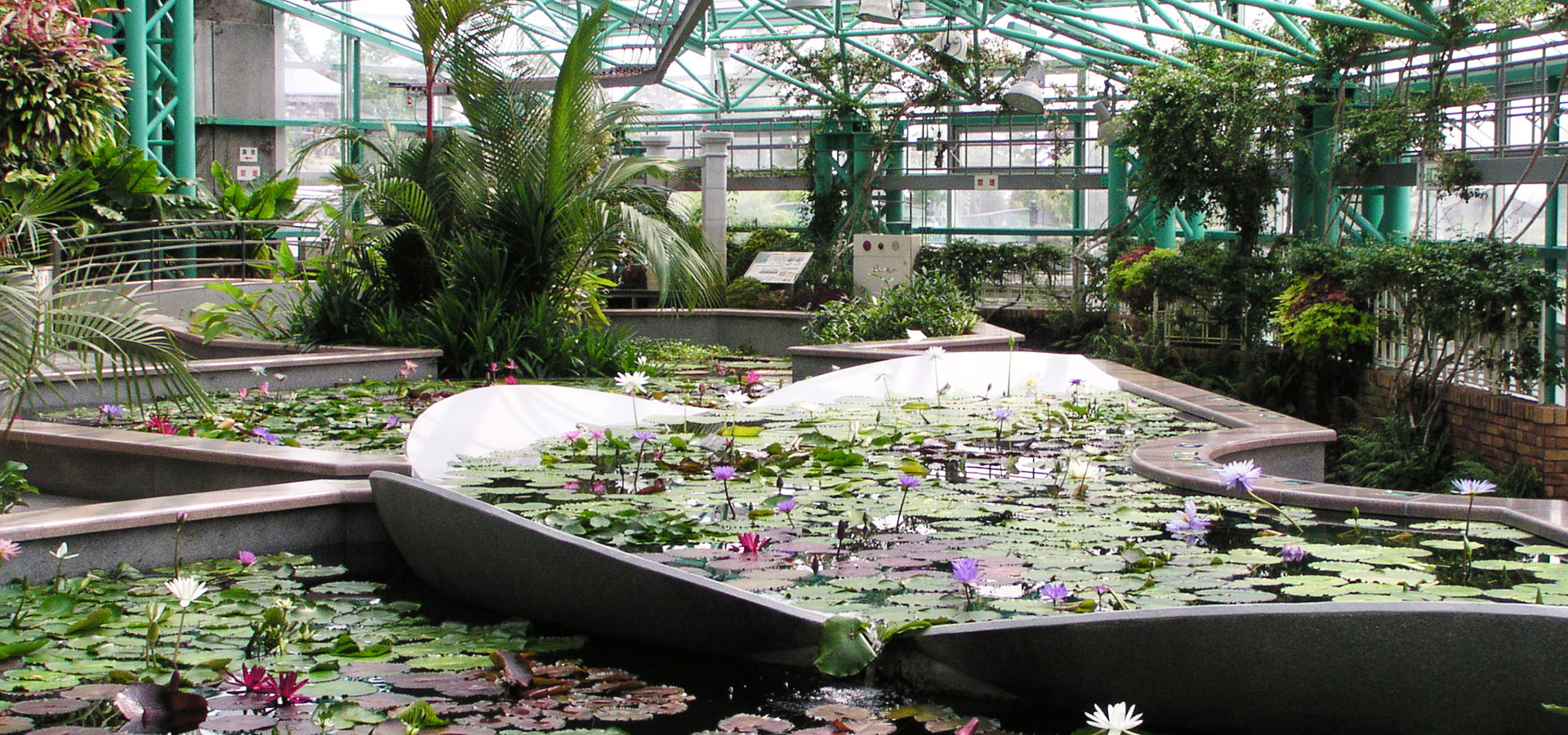 Mizunomori Water Botanical Garden (Kusatsu Aquatic Botanial Garden)