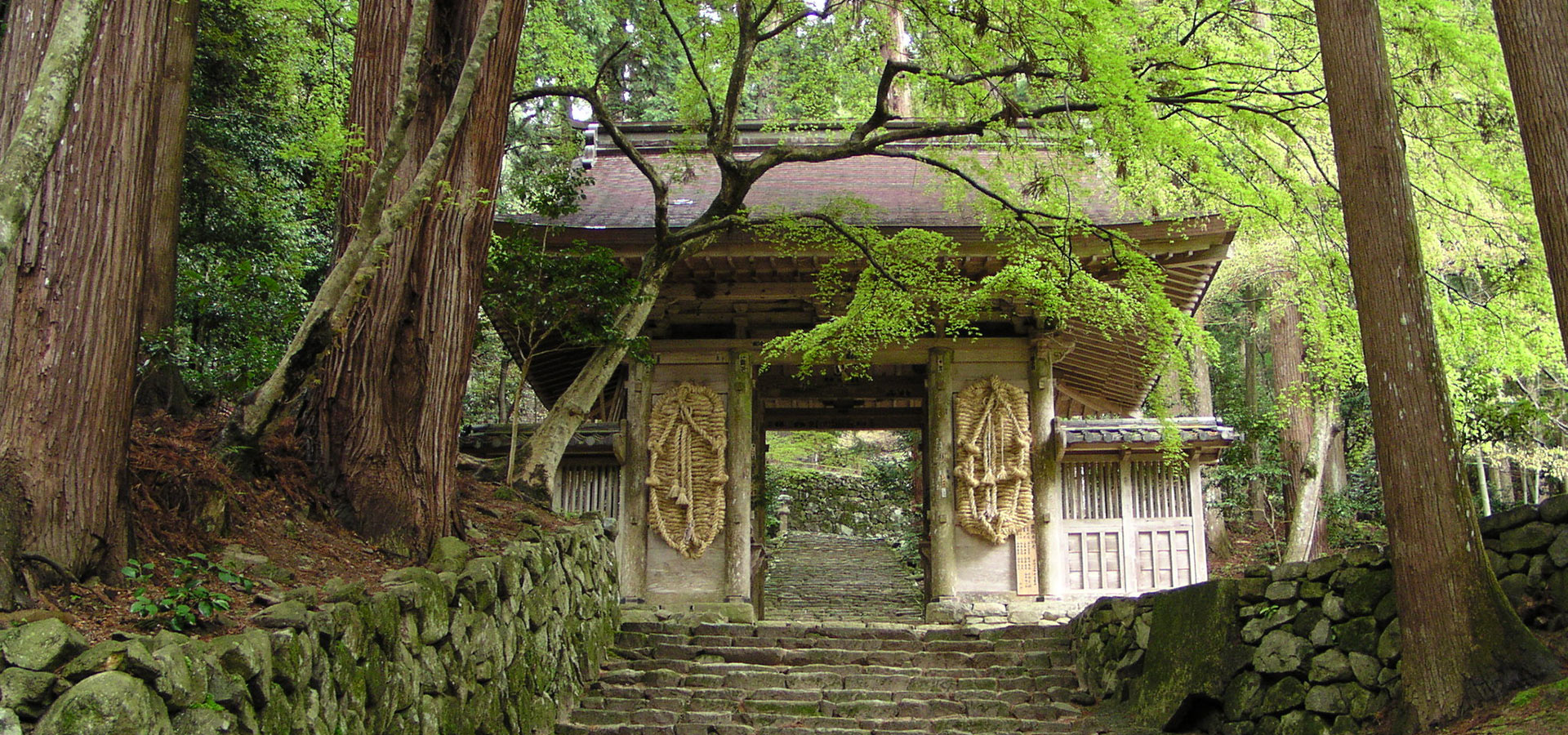 [Koto Sanzan] Hyakusaiji Temple
