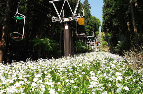 贱岳登山索道