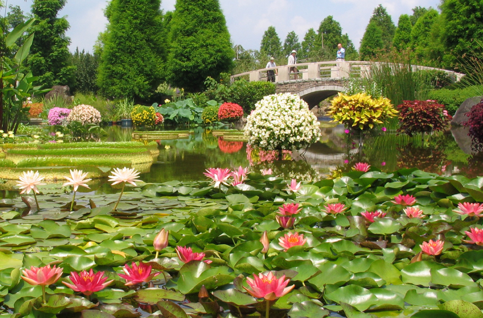 Mizunomori Water Botanical Garden