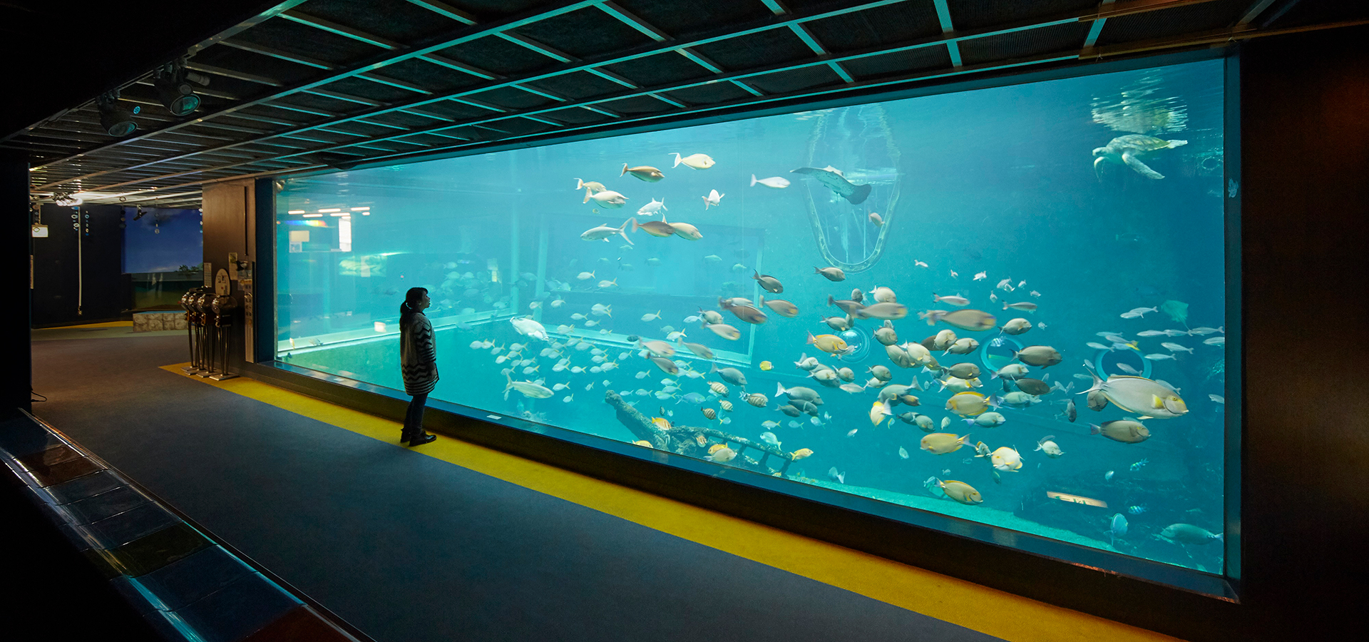 Hakone-en Aquarium