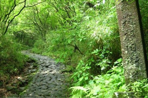 The Old Hakone Road