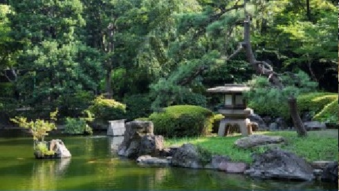 Explore our Japanese Garden