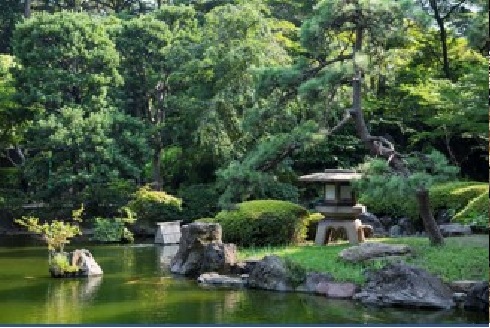 Explore our Japanese Garden