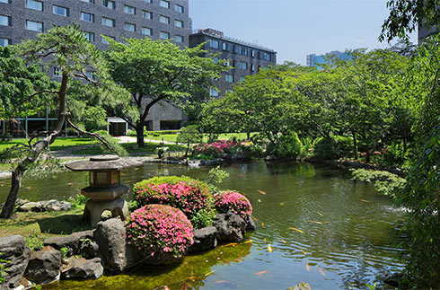 Japanese Garden