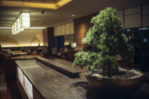hanamiyabi_010_490×276
