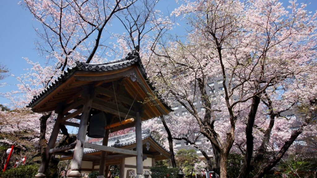 pla_garden-SS15033100014_1260x709-1024x577