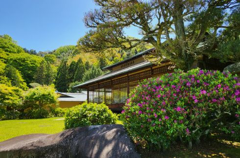 庭園開花資訊