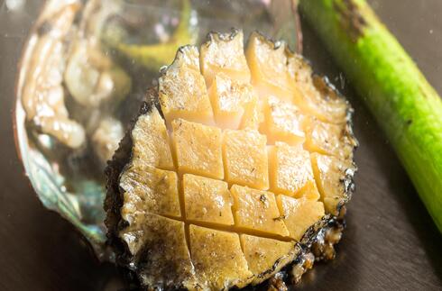 katsura_abalone_201804_490_323