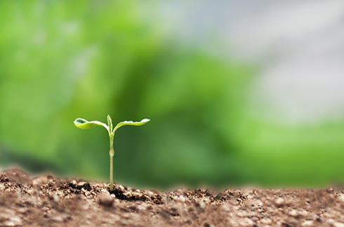 可持续发展承诺