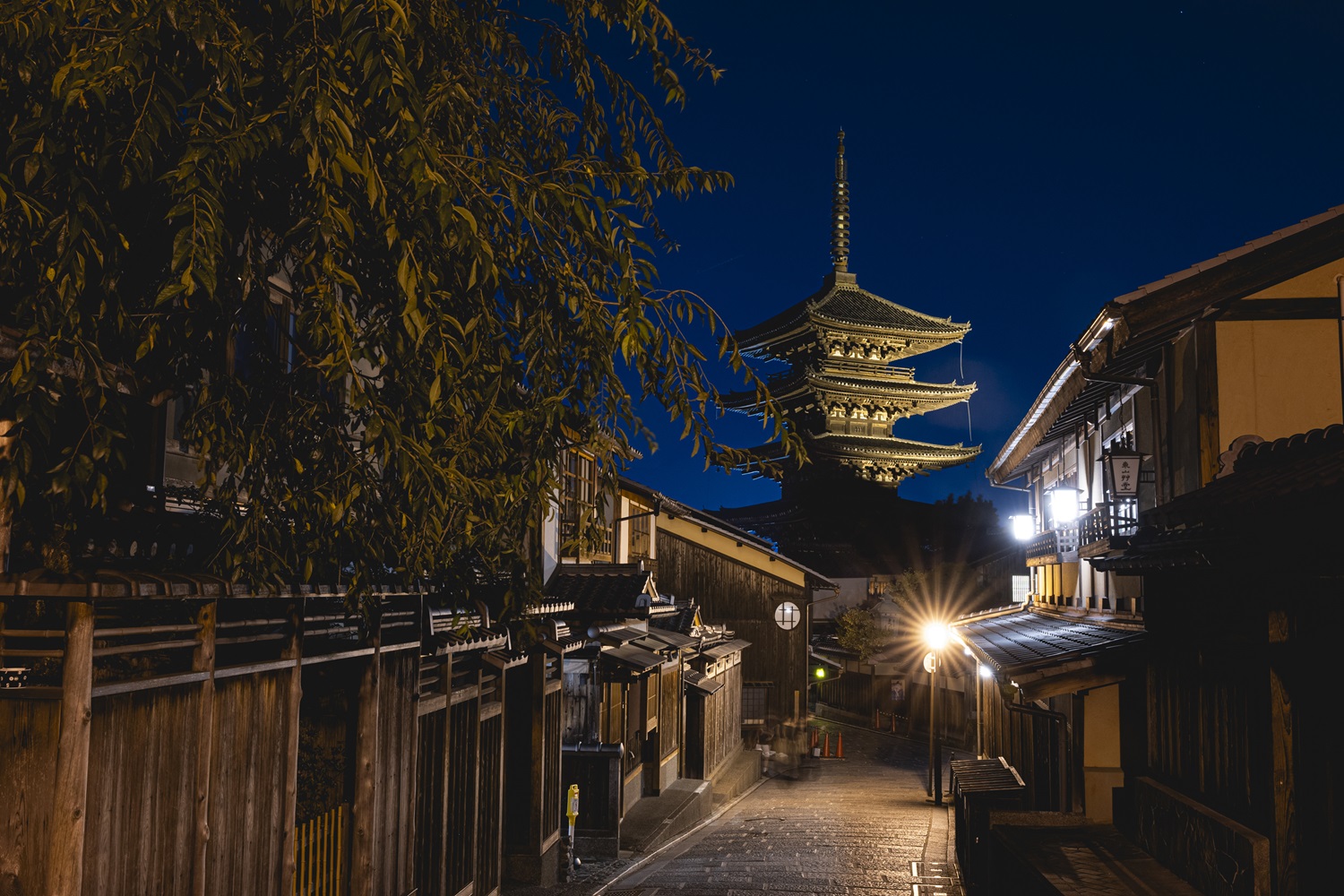 회원 한정 반짝 세일