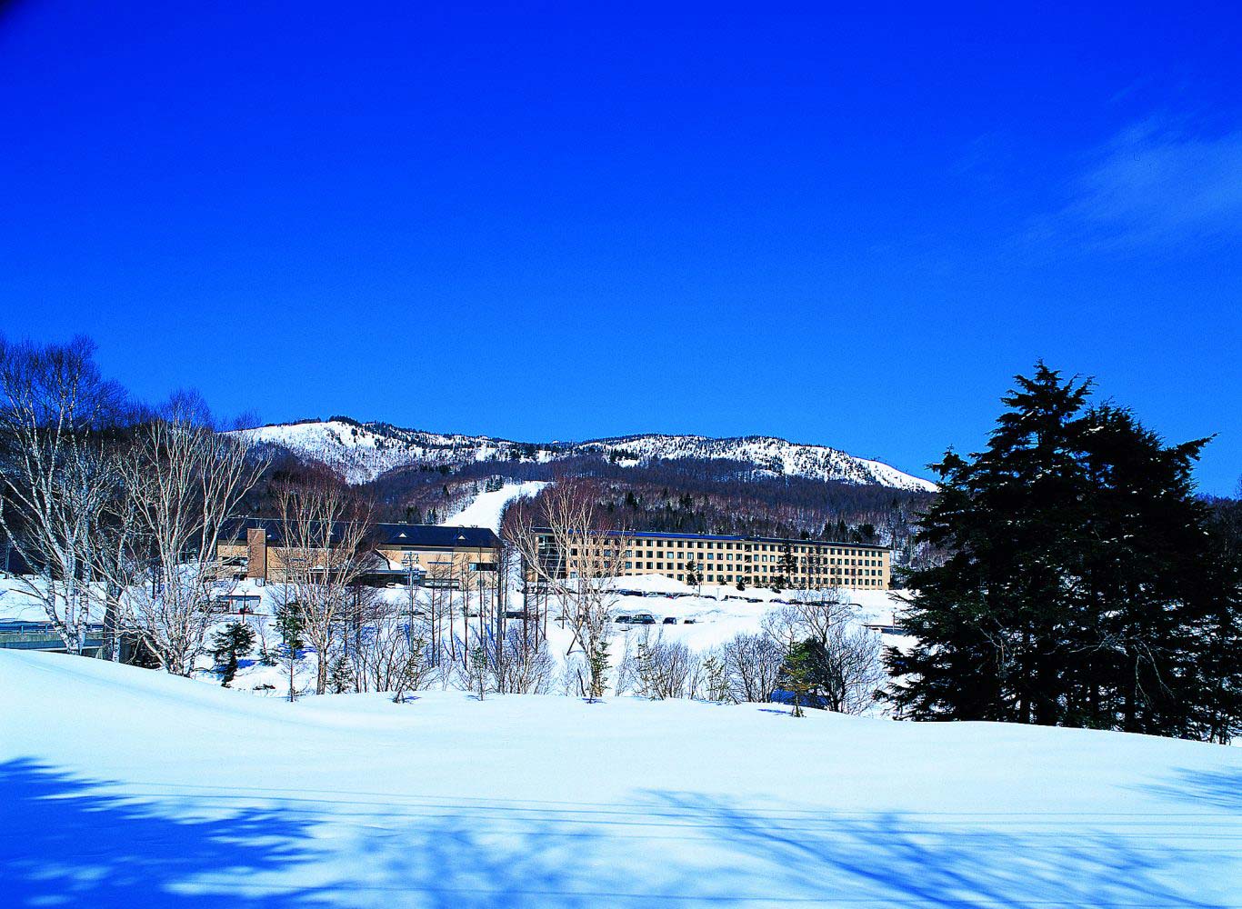 Photogallery - Shiga Kogen Prince Hotel - Official website