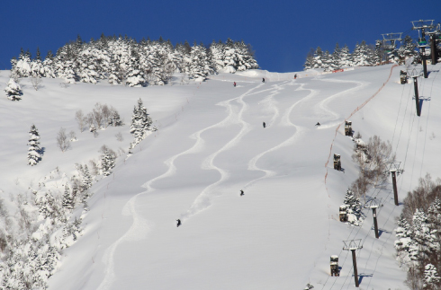 데상트 패스트 트랙🎿