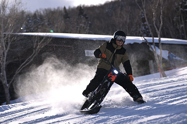 e-SNOW BIKE