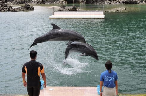 下田水族館