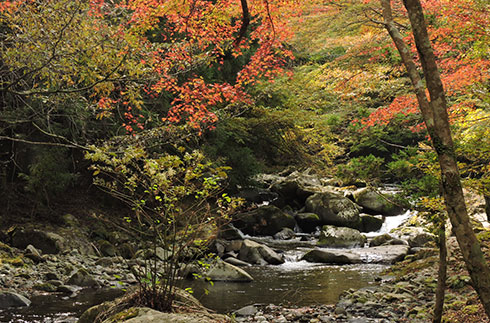 Namesawa Gorge