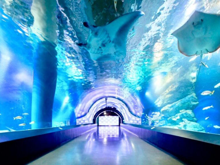 « Special Offer » AQUARIUM PACKAGE Special Offer & Promotion from