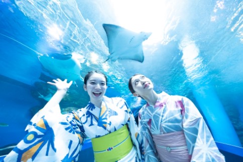 Summer Package -Yukata & Aquarium