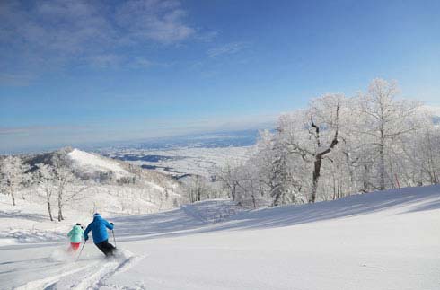 富良野 滑雪区