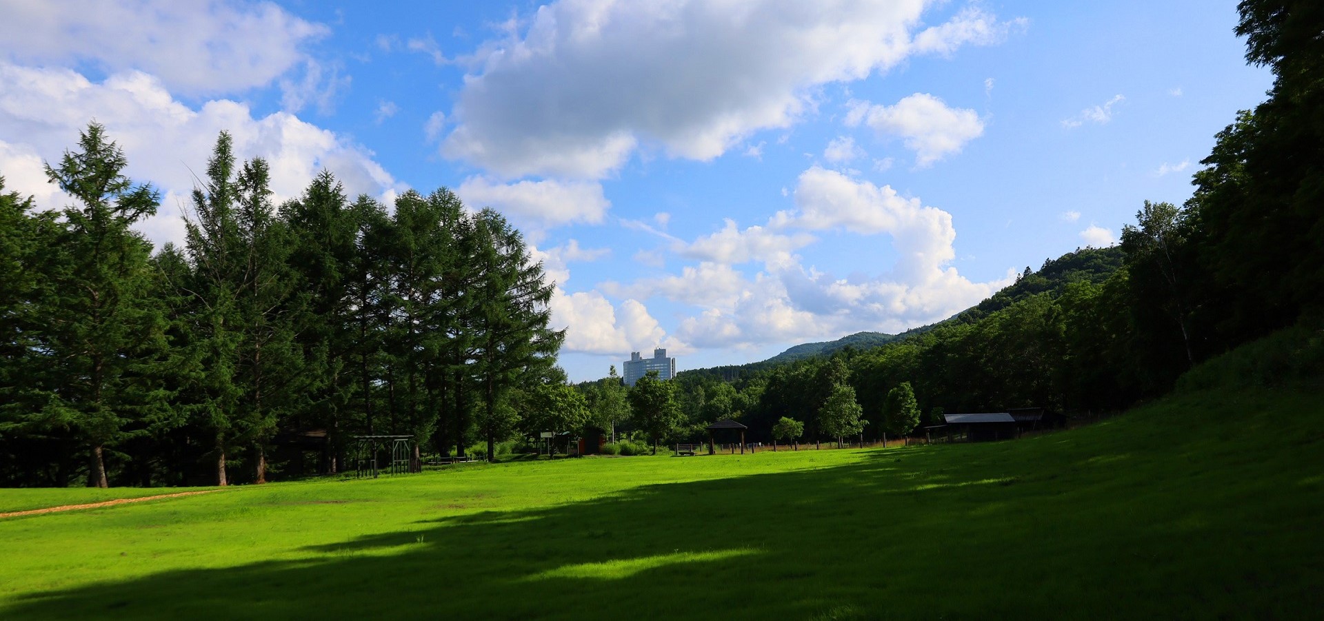 Shin Furano Prince Hotel