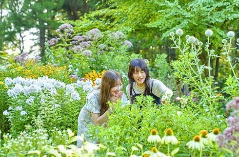 風之花園