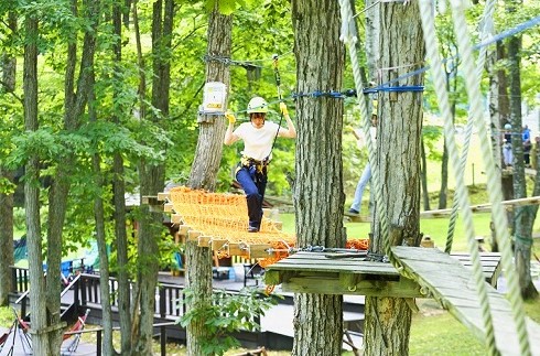 Tree Adventure Furano