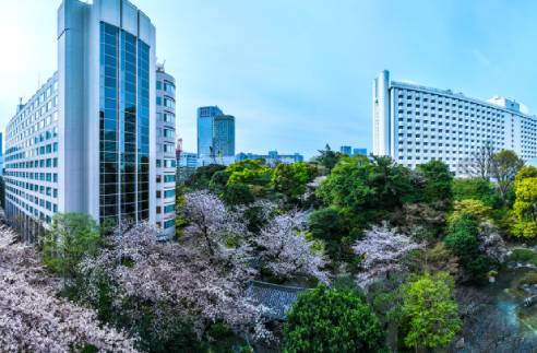 Experiences at Takanawa