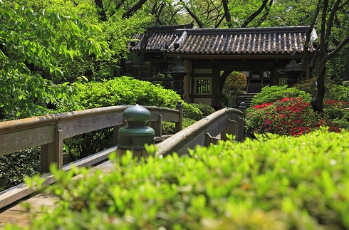 Japanese Garden