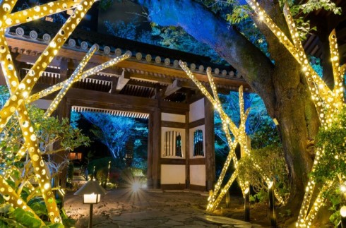 Summer Special Offer –  ￥ 5,000 Property Credit Offer