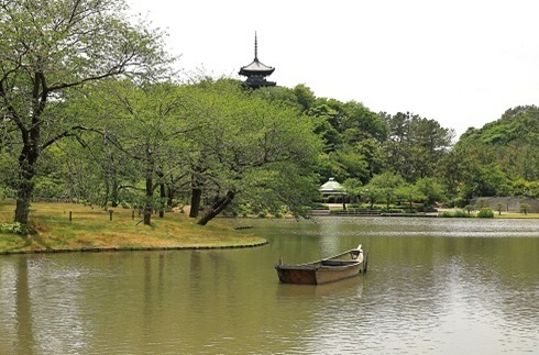 490X323夏