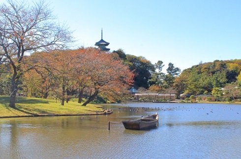 490X323秋