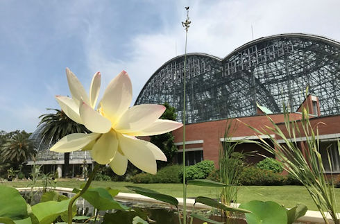 夢之島公園 / 夢之島熱帶植物館