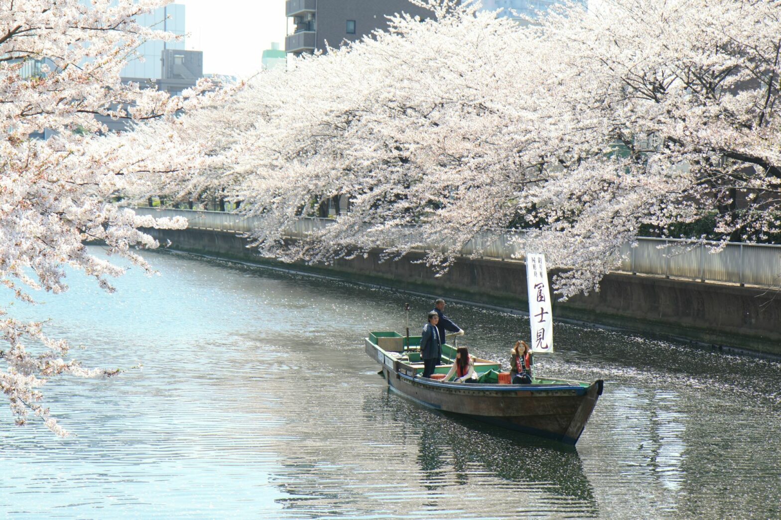Tide of SAKURA ～A Full Sakura Experience at Shiomi～