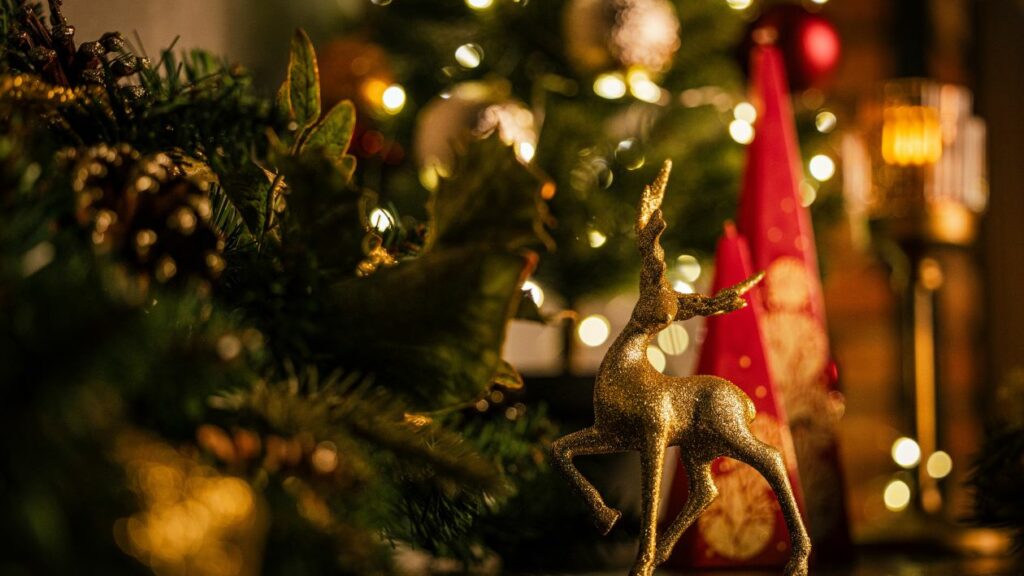 This image has an empty alt attribute; its file name is 3Z1A0788-1024x576.jpg