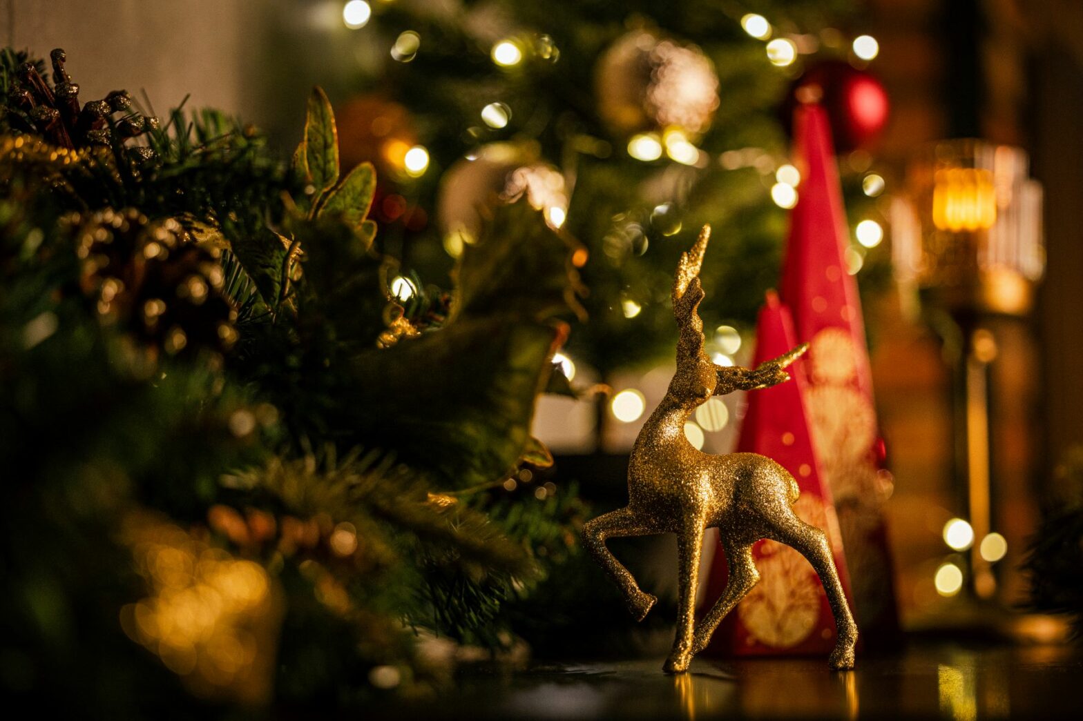 Festive Season Exclusive